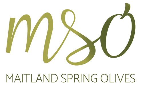 Maitland Spring Olives