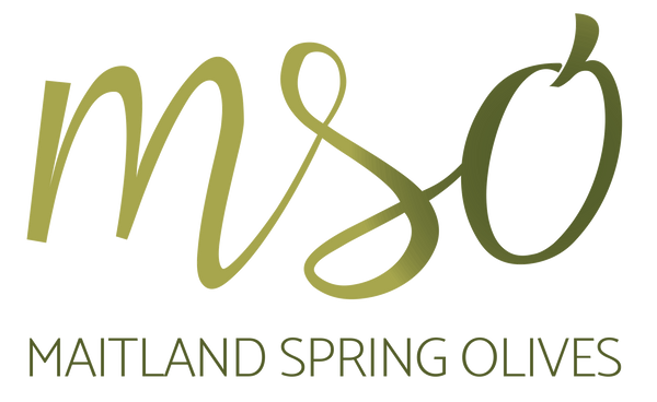 Maitland Spring Olives